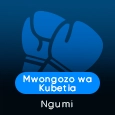 Mwongozo wa Kubetia - Ngumi